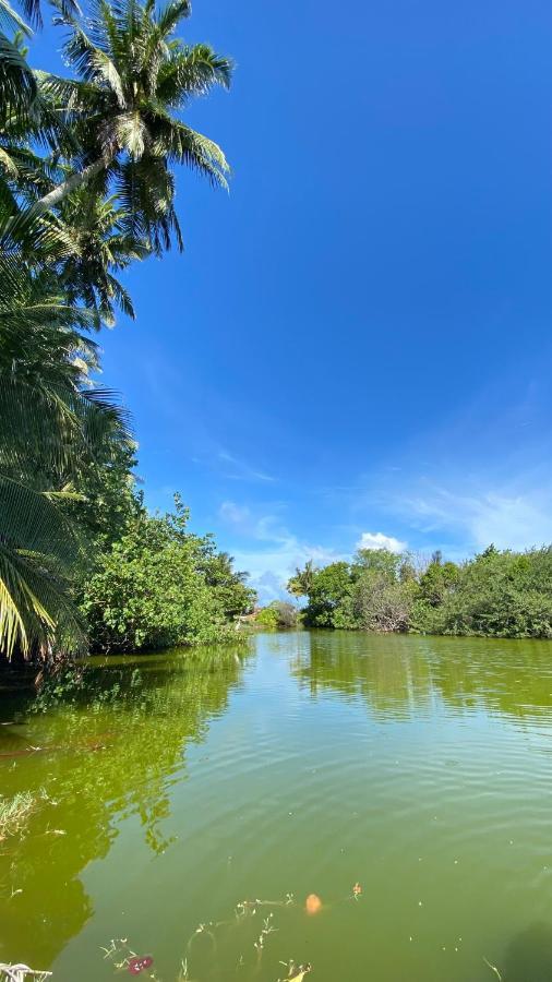 Alimas Holiday Retreat Maldives Felidhoo Bagian luar foto