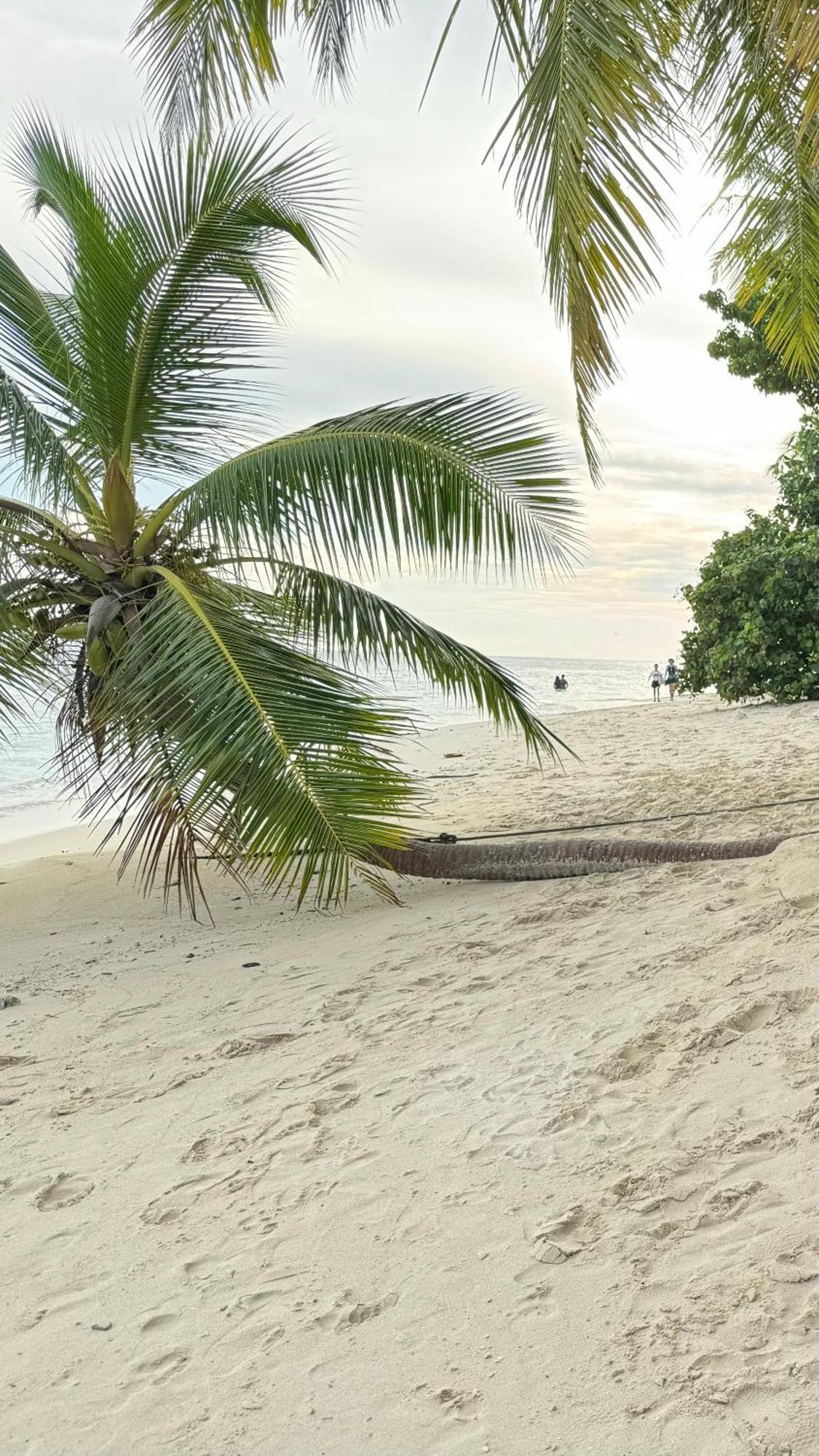 Alimas Holiday Retreat Maldives Felidhoo Bagian luar foto